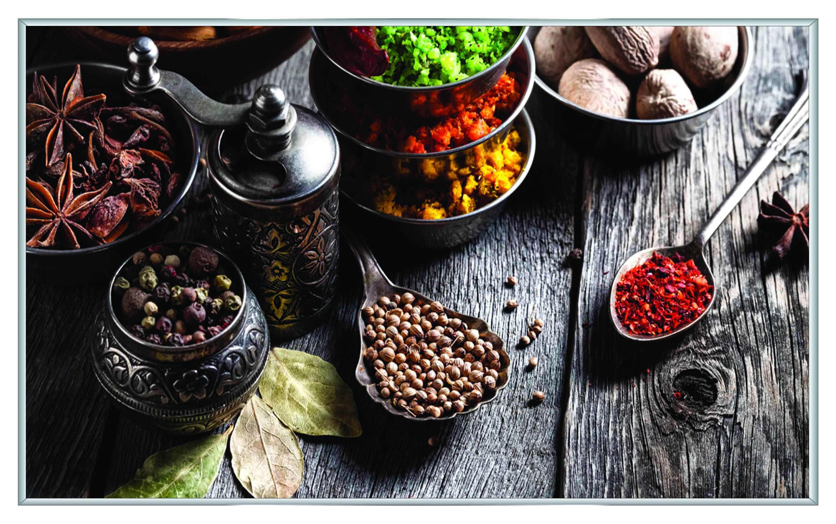 ASG245 Wall décor art printed on glass spices